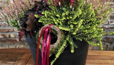 Jesienna kompozycja z wrzosów, wrzośców, cyklamenów i żurawki Jesienna kompozycja z wrzosów, wrzośców, cyklamenów i żurawki