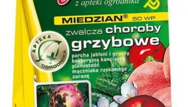 Miedzian Miedzian