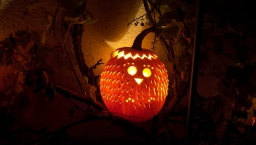 Sowa z dyni sowa z dyni