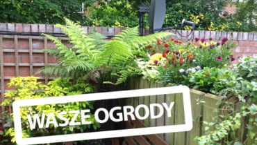 Balkon Czytelniczki Balkon Czytelniczki