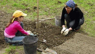 Zakładanie grządek rozpoczynamy gdy ziemia ogrzeje się i obeschnie, czyli gdy już nie klei się do butów. Jak najszybciej wyrównujemy jej powierzchnię, by ograniczyć utratę wilgoci. Następnie rozsypujemy nawozy i kompost,motyczymy, grabimy, rozbijamy duże grudki ziemi i wyznaczamy grządki. Zakładanie grządek rozpoczynamy gdy ziemia ogrzeje się i obeschnie, czyli gdy już nie klei się do butów. Jak najszybciej wyrównujemy jej powierzchnię, by ograniczyć utratę wilgoci. Następnie rozsypujemy nawozy i kompost,motyczymy, grabimy, rozbijamy duże grudki ziemi i wyznaczamy grządki.
