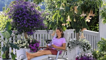 Datura ( Engelstrompete ), Solanum ( Enzianbaum ), Petunia ( Petunien ), Verbena ( Eisenkraut ), Helichrysum petiolare ( Strukturpflanze ) als Unterpflanzung, Lobelia ( M nnertreu ), Nicotiana ( Ziertabak ), Musa ( Banane ), Frau auf Liege Liege :Garpa, Tel.: 0 41 52 / 92 52 00 61015019 SLOWA KLUCZOWE: K´belpflanzen gesamt GAP 000 quer Balkon Liegestuhl Sommer blau aprikot draussen Frau Person Topf Solanum rantonnetii Solanum Kartoffelbaum Enzianstrauch Lycianthes