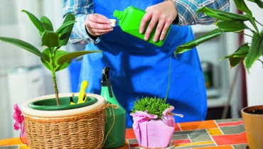 Dawkę nawozu zimowego odmierzamy zgodnie z instrukcją na etykiecie i mieszamy ją z wodą w odpowiedniej proporcji. Dawkę nawozu zimowego odmierzamy zgodnie z instrukcją na etykiecie i mieszamy ją z wodą w odpowiedniej proporcji.