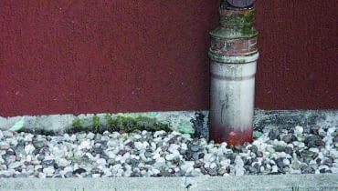 Wilgotny, zielony nalot na rurze spustowej to efekt niewłaściwego odprowadzania wody deszczowej cokół