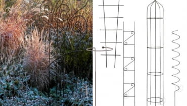 Trawy ozdobne trawy ozdobne,Trawa pampesowa, Rozplenica japońska, Kostrzewa sina