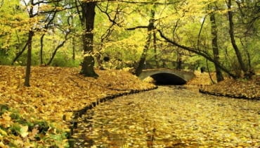 Park Skaryszewski im Ignacego Jana Paderewskiego w Warszawie