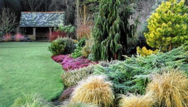 Frosted lawn and borders SLOWA KLUCZOWE: Ausblick Aussicht Baum Beet Beete Bepflanzung B ume Erica Erika Form Garten Geb ude Gr ser Heide Heidekraut Konifere Koniferen Nadelbaum Pflanzen Rasen Raureif Struktur Str ucher Winter anpflanzen architektonisch bepflanzen bereift bezogen einpflanzen eisig frostig immergr´n wei? Querformat