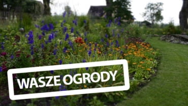 Wasze ogrody a
