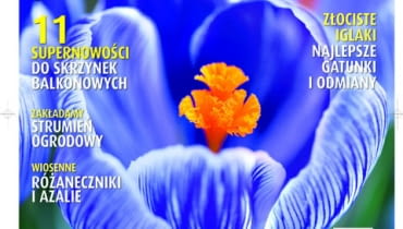 Okładka miesięcznika Kwietnik nr 02/2011