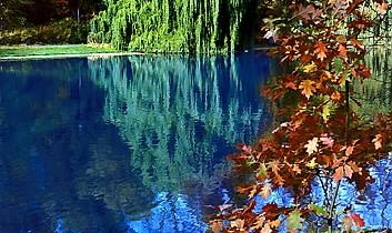 Złoto-czerwoną, jesienną aurę parku tworzą licznie rosnące tu kasztanowce, dęby, klony i lipy. Niektóre egzemplarze mają prawie sto lat - pierwsze drezwa posadzono bowiem w 1907 r.