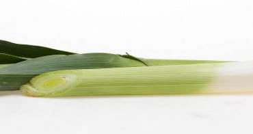 Odmiany porów mają różnej grubości pędy i bardziej lub mniej widoczne cebule. 23.08.2004