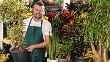 Przed kupnem rośliny warto sprawdzić, czy nie ma na niej objawów żerowania szkodników. Przed kupnem rośliny warto sprawdzić, czy nie ma na niej objawów żerowania szkodników.