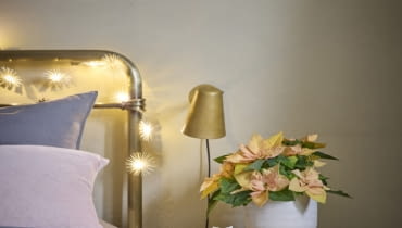 Poinsecje, ze swoimi delikatnymi kolorami i subtelnym pięknem, tworzą właśnie taką kojącą atmosferę i tworzą wyjątkowo przytulny klimat do najintymniejszych zakątków domu. Poinsecje, ze swoimi delikatnymi kolorami i subtelnym pięknem, tworzą właśnie taką kojącą atmosferę i tworzą wyjątkowo przytulny klimat do najintymniejszych zakątków domu.