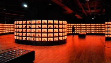 Sklep United Nude w Londynie sklep, united nude