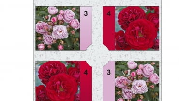 Rabata prostokątna - Różanka 2 Rabata prostokątna - Różanka 2