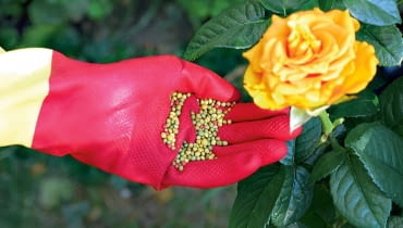 KONICA MINOLTA DIGITAL CAMERA8BIM%t^#J8BIM:3printOutputPstSboolInteenumInteClrmprintSixteenBitboolprinterNameTEXT(Dell 5330dn Mono Laser Printer (DAN001)printProofSetupObjcProof SetupproofSetupBltnenumbuiltinProofproofCMYK8BIM;