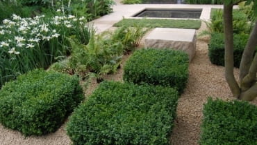 Ogród dla zapracowanych. Rabaty i ścieżki wysypane żwirem utrudniają rozwój chwastów. Pod żwirem warto ułożyć agrowłukninę Ogród dla zapracowanych. Rabaty i ścieżki wysypane żwirem utrudniają rozwój chwastów. Pod żwirem warto ułożyć agrowłukninę