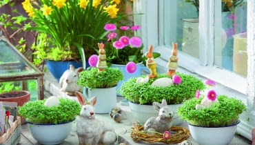 Wśród zielonych miniłączek z rzeżuchy i stokrotek przysiadły zające... a może króliki?