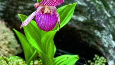 /60=B@qmY|Tkbdx)]fjs;lf>nMt09O_w~>zjn6z\{uhj*{3Vhv+k}EC!>~gloQg=.cv~viO}o?SOu_Wf;016e_eV_ @`jmWm6cf6=5uYSYGj