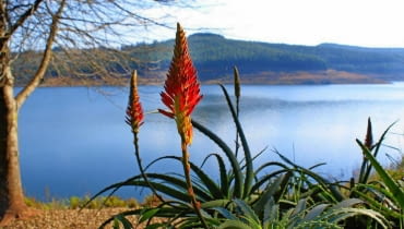 shutterstock/Elzbieta Sekowska