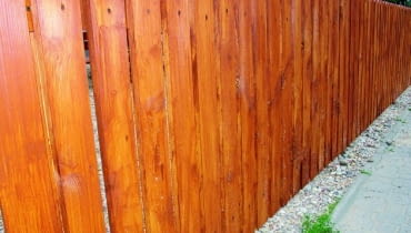 Krople żywicy na sosnowym płocie