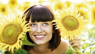 Słoneczniki Słoneczniki