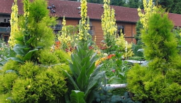 W centralnej części ogrodu znajduje się duży gołębnik dla gołębi pocztowych oraz ogrodowa altana.