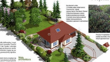 Projekt ogrodu w zaciszu jodeł