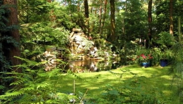 Sadzawka w leśnym ogrodzie. Szmer wody sprzyja leśnym klimatom