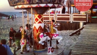 W miejskiej dżungli, Krynica Morska, design