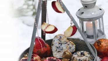 Vogelfutter - Tablett mit Fr´chten und Futter aus Backf^rmchen, Stepps: 218940, 218943, 218944, 218945 SLOWA KLUCZOWE: Balkon Futter f´ttern Garten Garten im Winter Idee Kreativ Kreatives Kreativ-Idee Schnee Tablett Vogel Vogelfutter Winter Winterbalkon winterlich