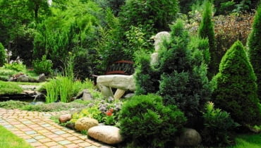 Iglaki będą zdobić ogród cały rok, jeśli tylko odpowiednio o nie zadbamy. Iglaki będą zdobić ogród cały rok, jeśli tylko odpowiednio o nie zadbamy.