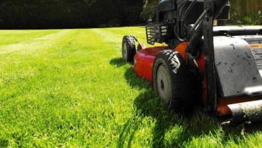 SONY DSC SLOWA KLUCZOWE: lawn mower lawnmower mowing mow green grass lawnmowing landscaping maintenance grounds landscape gardening machinery cut prune sod turf backyard work home house labour labor gardener garden ride on park parks landscaper horticulture horticulturist worker man mowed mown grow growth summer spring sun sunshine health gardens plant organic growing botany yard