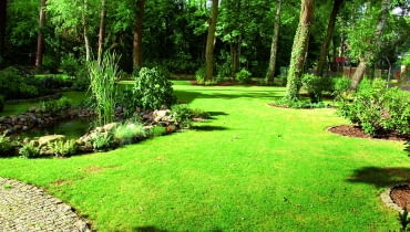 x OLYMPUS DIGITAL CAMERA