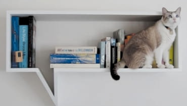 półka, nunez, komiks