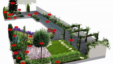 Projekt ogrodu w cieniu topoli