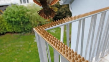 Kolce odstraszające ptaki Odstraszacze zwierząt