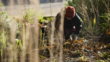 Przygotowania do zimy Przygotowania do zimy