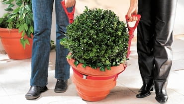 WYNOSZENIE CIĘŻKICH roślin ułatwią szelki zakładane na donicę.