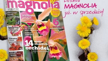 Magazyn Magnolia Magazyn Magnolia