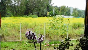 Stan na chwilę obecną. Stan obecny