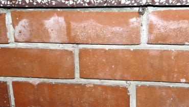 KROK 1. Przede wszystkim należy odpowiednio przygotować preparat - jeśli to konieczne, rozcieńczyć go w proporcjach dostosowanych do wielkości wykwitów. Informację, która to ułatwi, można znaleźć na opakowaniu. KROK 1. Przede wszystkim należy odpowiednio przygotować preparat - jeśli to konieczne, rozcieńczyć go w proporcjach dostosowanych do wielkości wykwitów. Informację, która to ułatwi, można znaleźć na opakowaniu.
