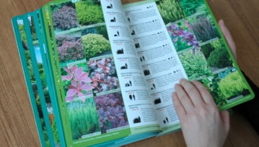 Katalog roślin Katalog roślin