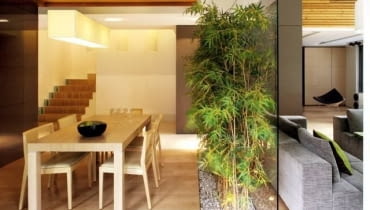 Zaaranżowanie małego ogródka wewnątrz pomieszczenia uatrakcyjni je i "oswoi"