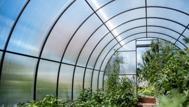 Na co zwrócić uwagę, kupując szklarnię ogrodową?