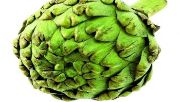 Karczoch Hiszpański (Cynara cardunculus) 05.05.2005 DZIECKO KARCZOCH STYLIZACJA JUNONA LAMCHA FOT. PAWEL KISZKIEL / AGENCJA GAZETA