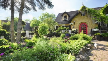 po lewej: Frontową ścianę domu zdobi imponująca glicynia. Przed wejściem dobudowano drewniany taras-ganek. po prawej: Domek na narzędzia - jego ściany nawiązują do tradycyjnego muru szachulcowego. po lewej: Frontową ścianę domu zdobi imponująca glicynia. Przed wejściem dobudowano drewniany taras-ganek. po prawej: Domek na narzędzia - jego ściany nawiązują do tradycyjnego muru szachulcowego.