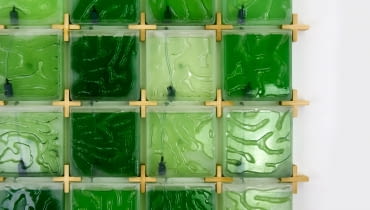 The Coral - domowa hodowla alg. Proj. Hyunseoka An