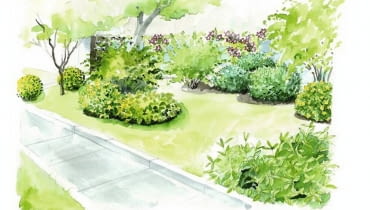 Projekt rabaty "Swobodne krzewy" Projekt rabaty "Swobodne krzewy"