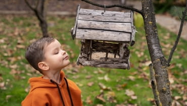 Dzieci karmią ptaki Dzieci karmią ptaki